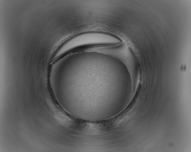 X0000093260442200709261734