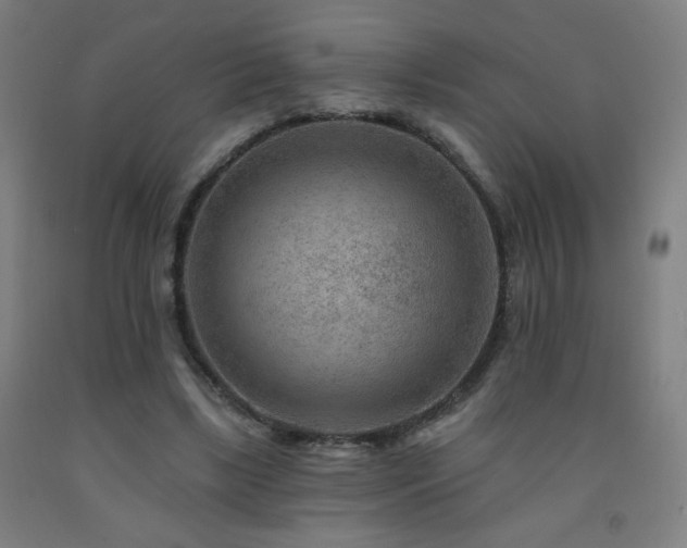 X0000093260443200709261734