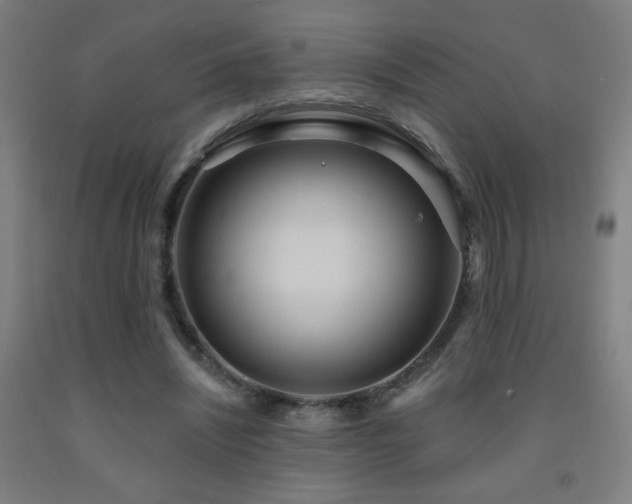 X0000093260444200709261734