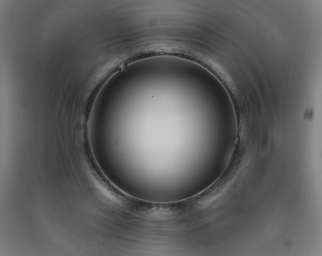 X0000093260445200709261735
