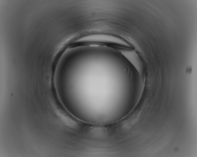 X0000093260446200709261735