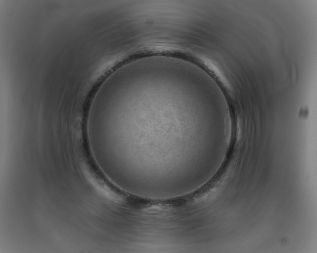 X0000093260447200709261735