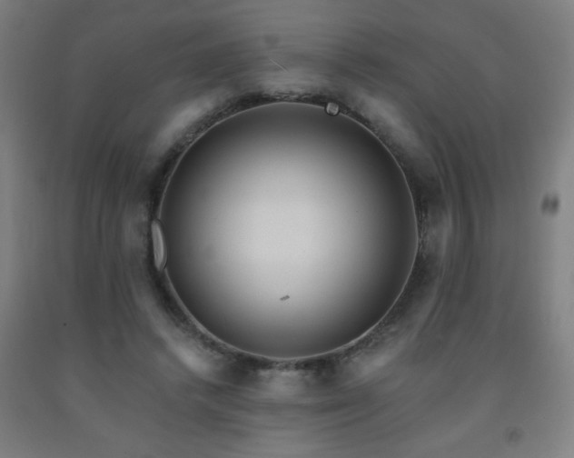 X0000093260448200709261735