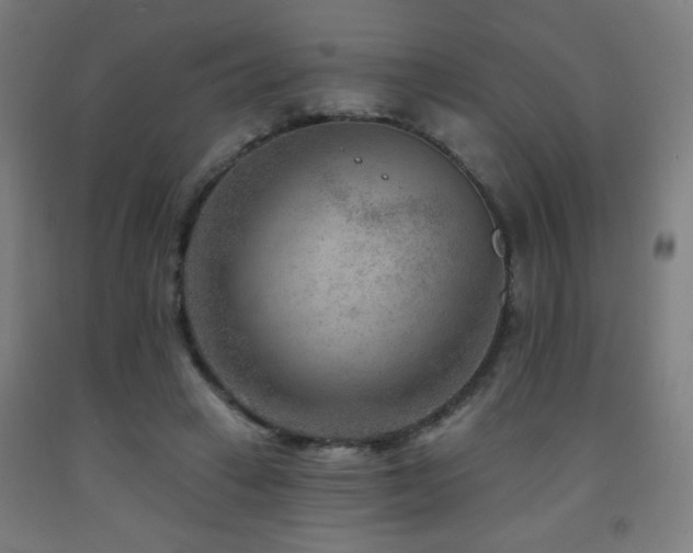 X0000093260449200709261735