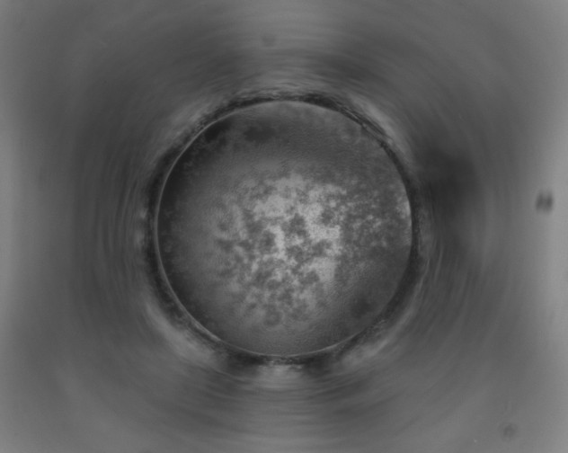 X0000093260451200709261735