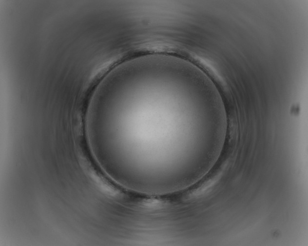 X0000093260453200709261735