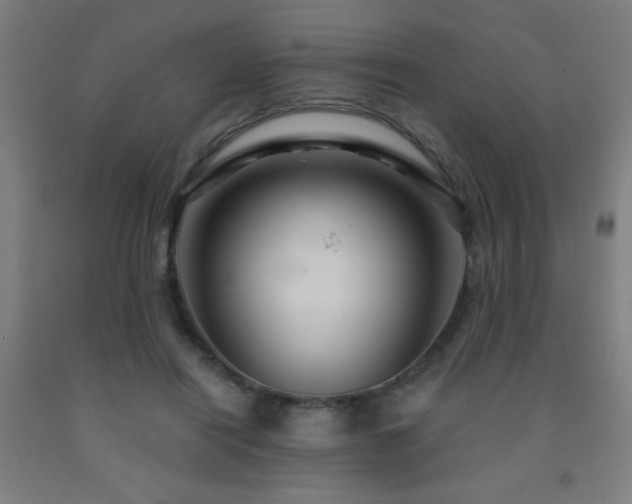 X0000093260454200709261735