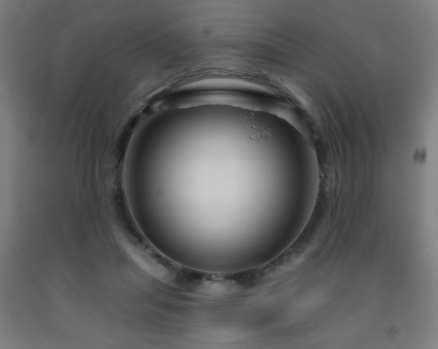 X0000093260455200709261735