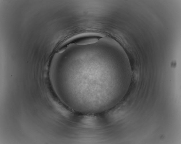 X0000093260458200709261735