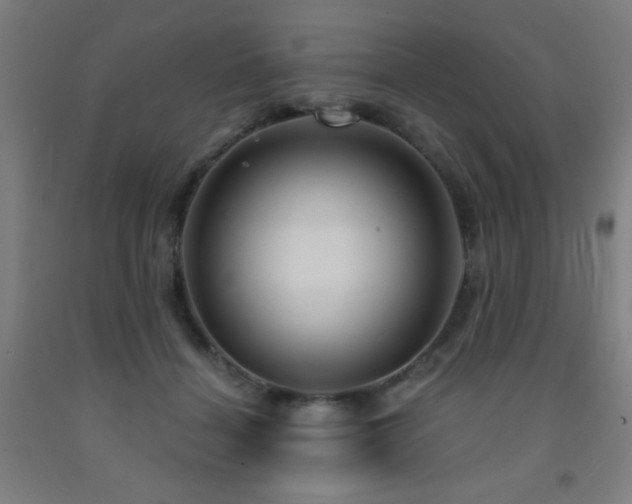 X0000093260460200709261735