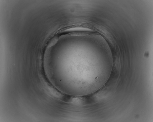 X0000093260461200709261735