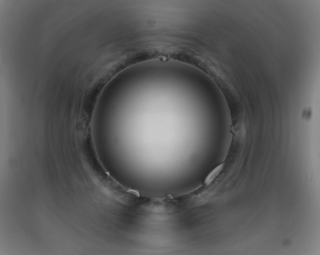X0000093260464200709261735