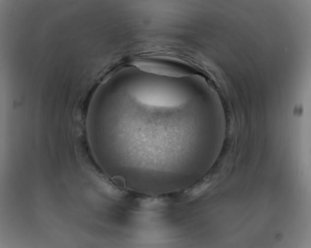 X0000093260465200709261735