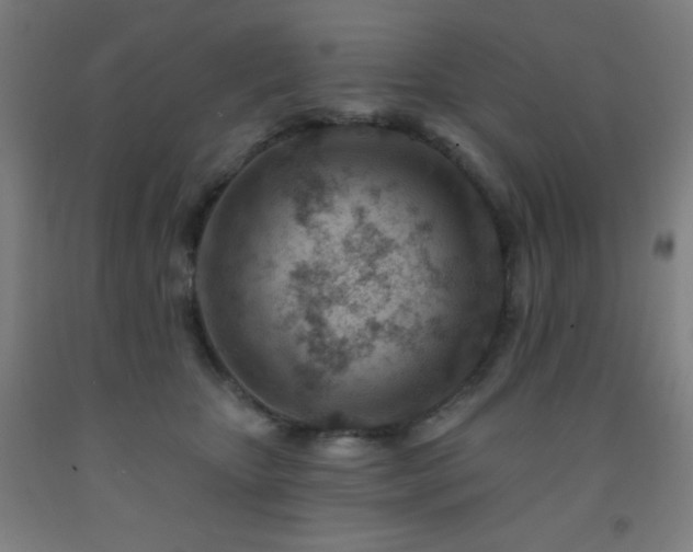 X0000093260467200709261735