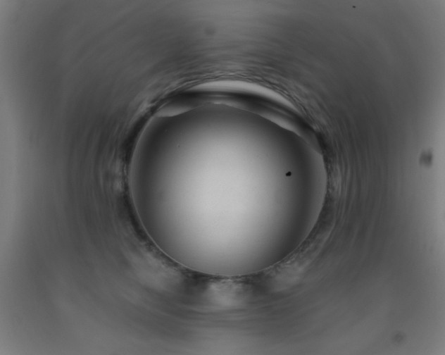 X0000093260470200709261735