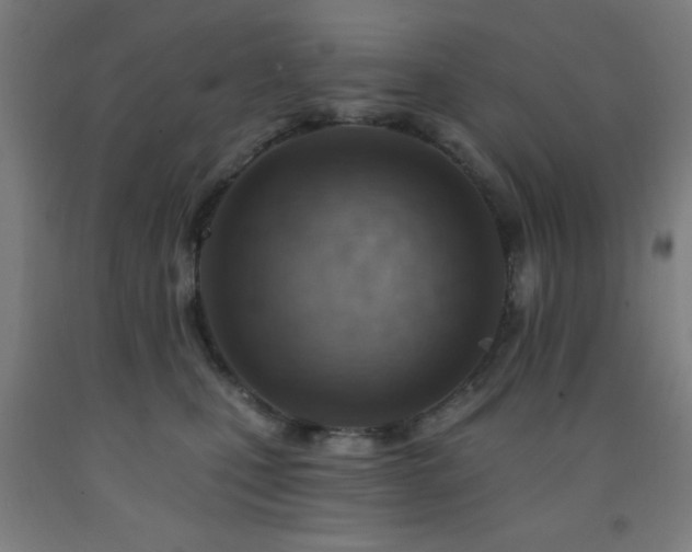 X0000093260471200709261735