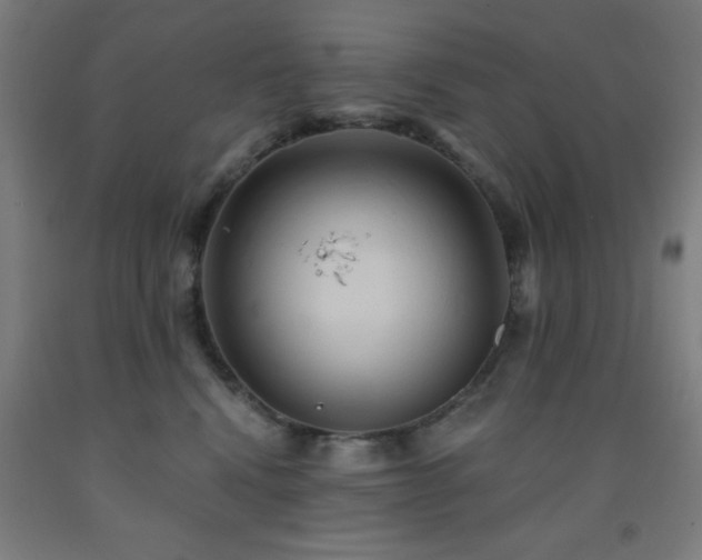 X0000093260472200709261735
