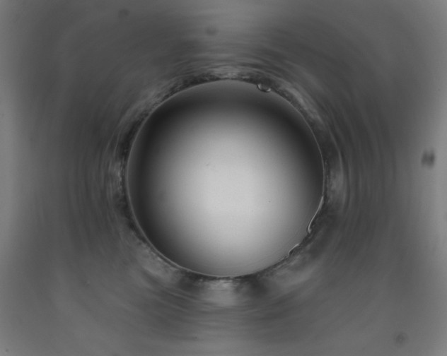 X0000093260473200709261735