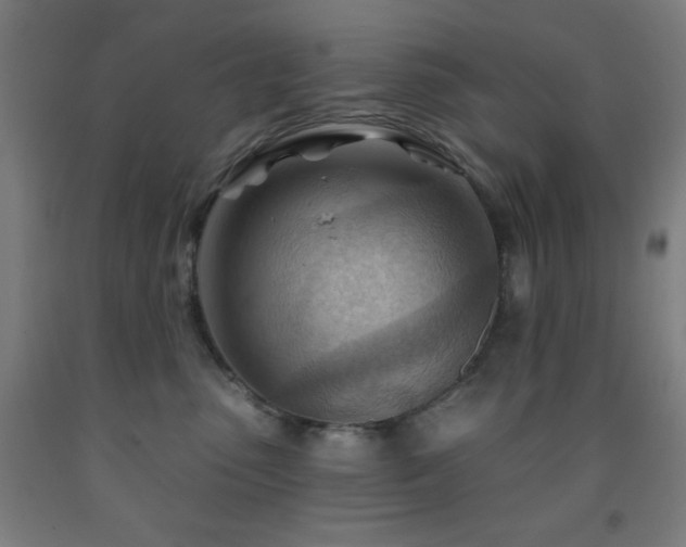 X0000093260475200709261735