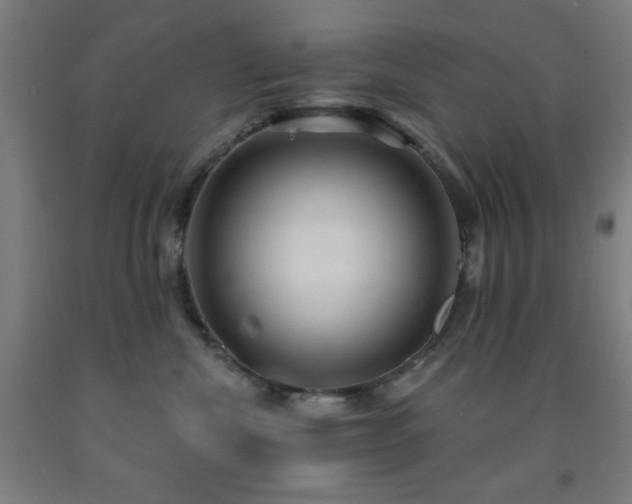 X0000093260476200709261735