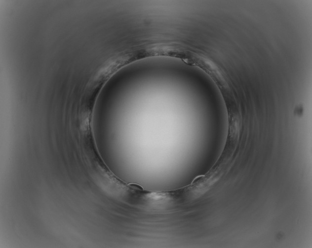 X0000093260477200709261735