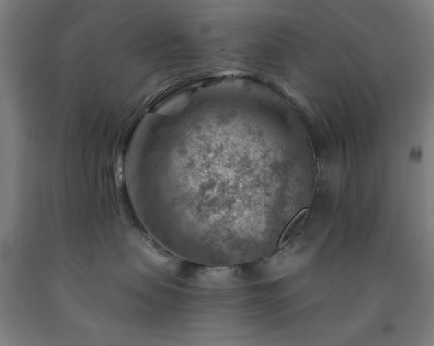 X0000093260479200709261735