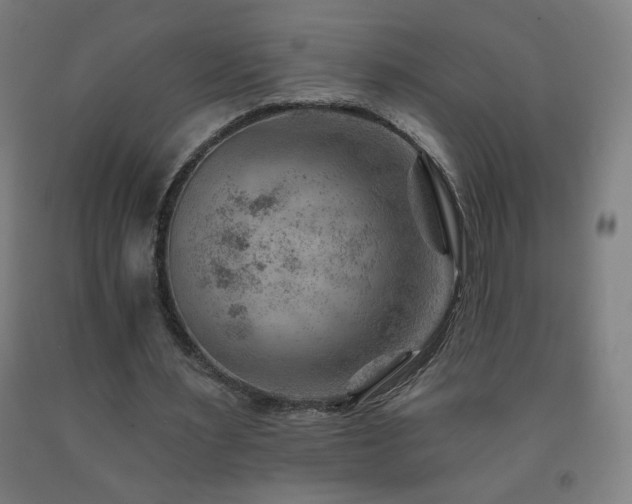 X0000093260483200709261734