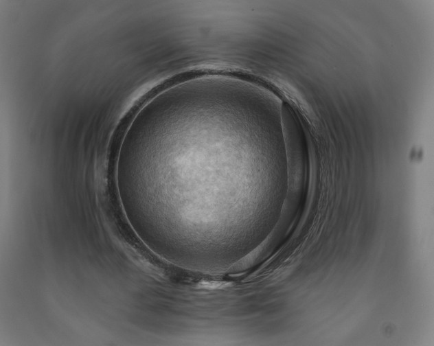 X0000093260484200709261734