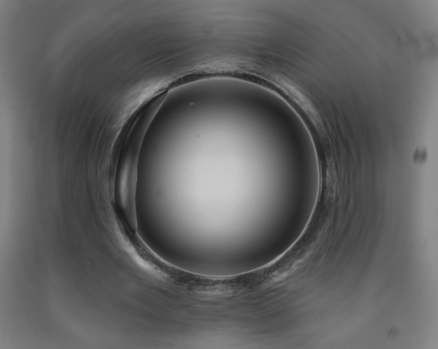 X0000093260485200709261734