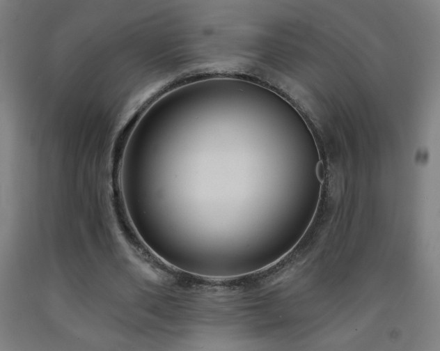 X0000093260486200709261734