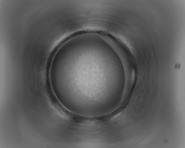 X0000093260488200709261734