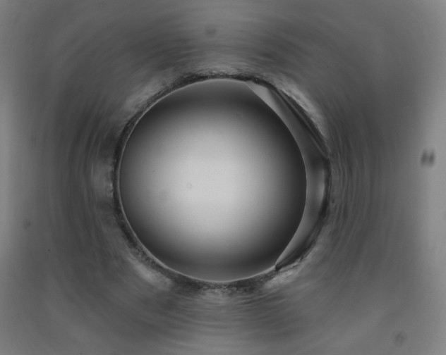 X0000093260489200709261734