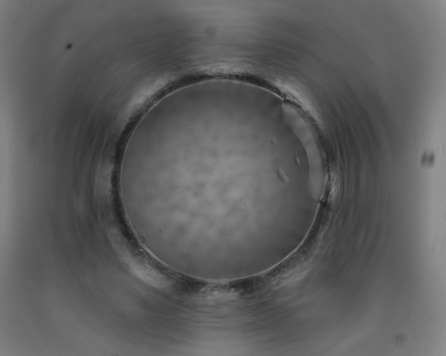 X0000093260491200709261734
