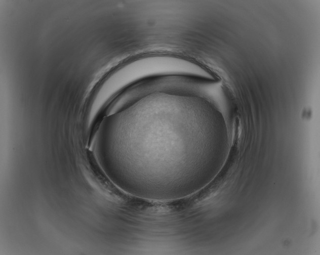 X0000093260492200709261734