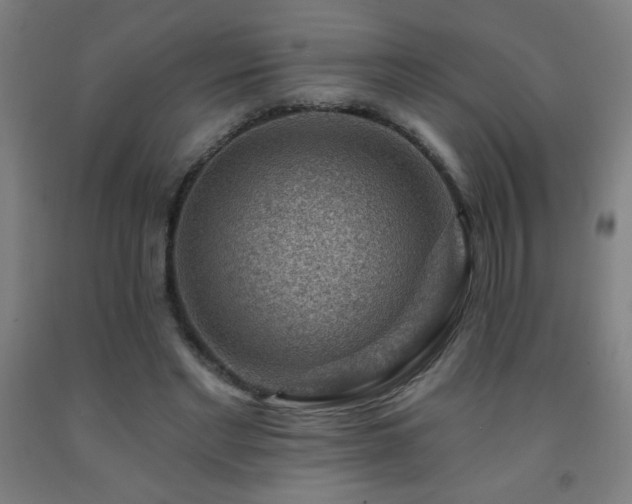 X0000093260493200709261734