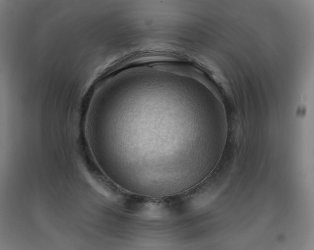 X0000093260496200709261734