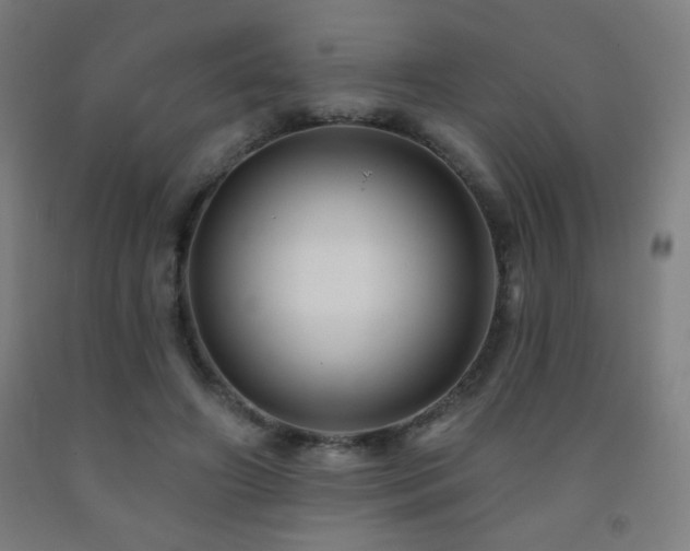 X0000093260498200709261734