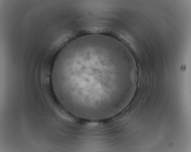 X0000093260499200709261734