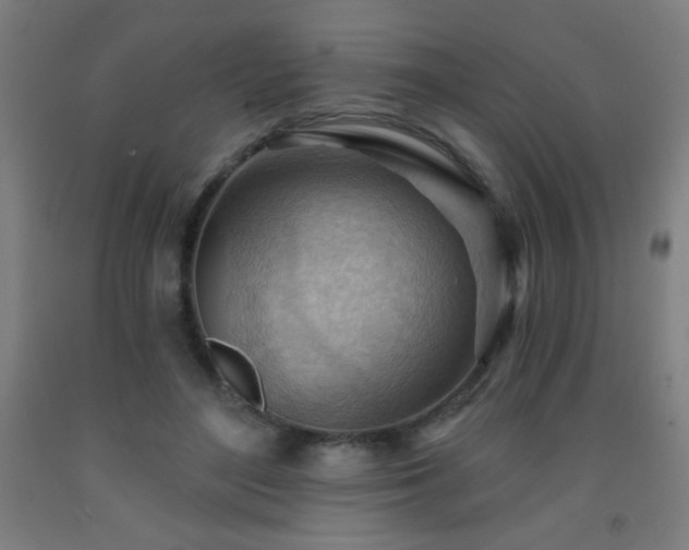 X0000093260500200709261734