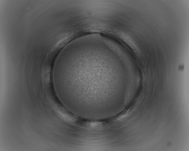 X0000093260501200709261734