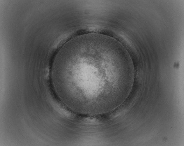 X0000093260502200709261734