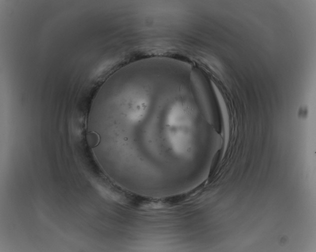 X0000093260503200709261734