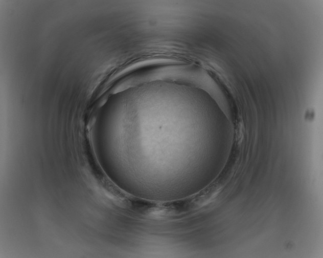 X0000093260504200709261734