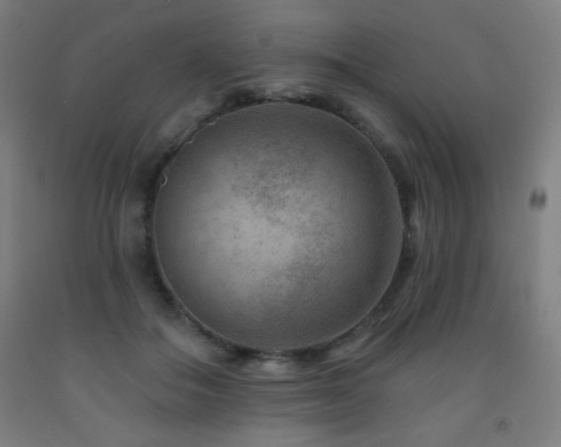 X0000093260506200709261734