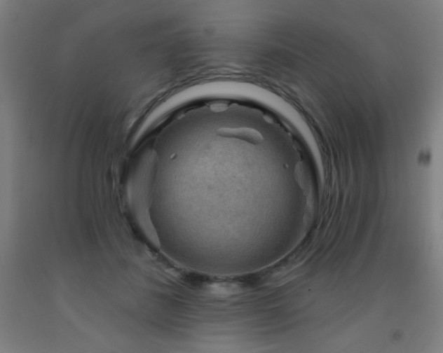 X0000093260508200709261734