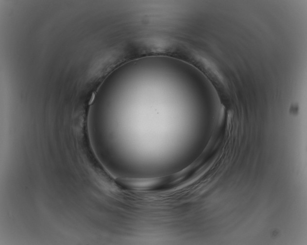 X0000093260509200709261734