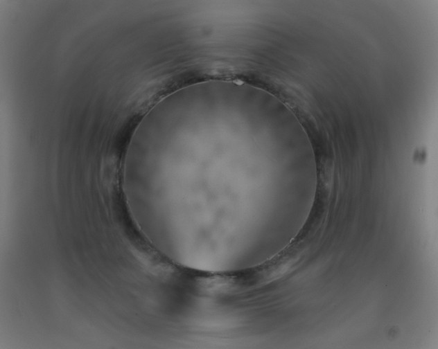 X0000093260511200709261734