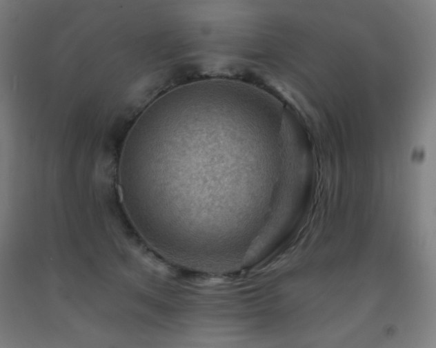 X0000093260513200709261734