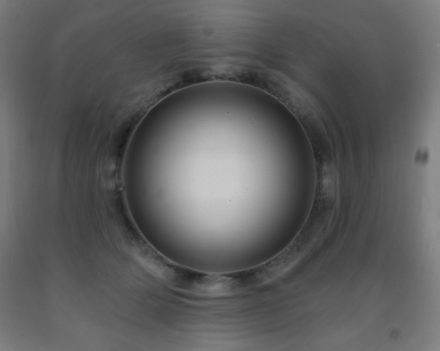 X0000093260514200709261734