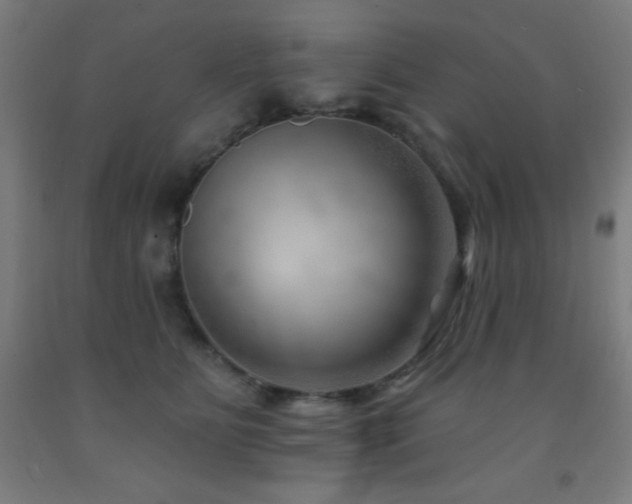 X0000093260515200709261734